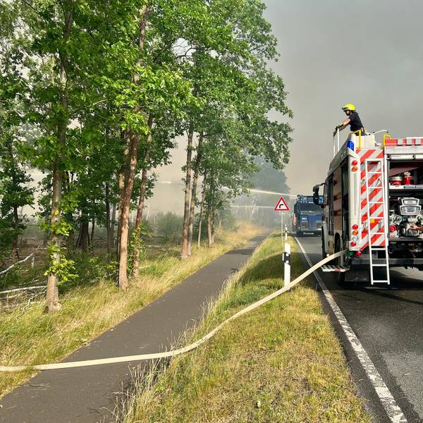 Neuer Inhalt