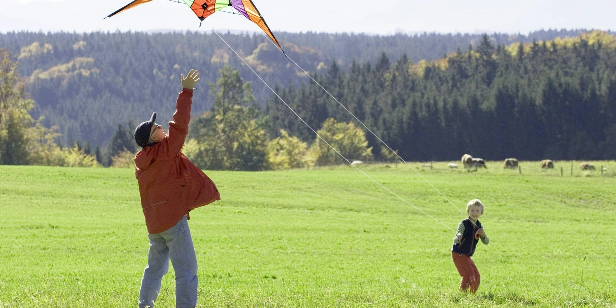 Drachenfliegen imago blickwinkel