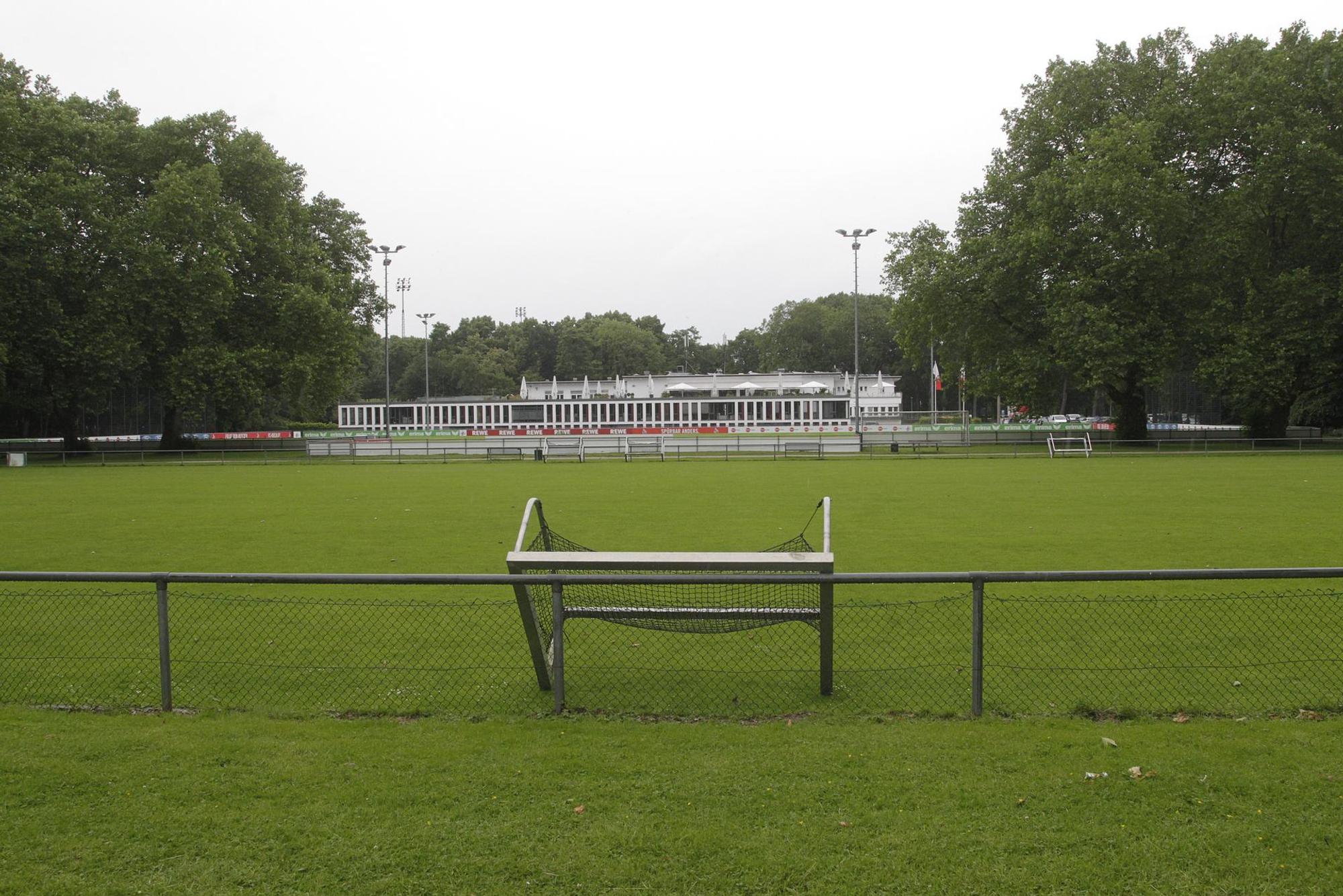 Rasen 1 FC Köln 050417