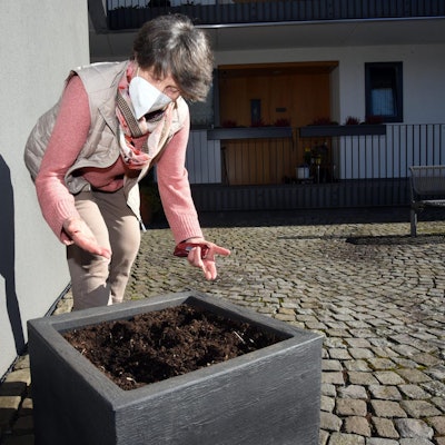 ds_Blumenkuebel_Blumenklau_Irmgard Beier_Wipp_Hausmannsplatz_Seniorenwohnungen1