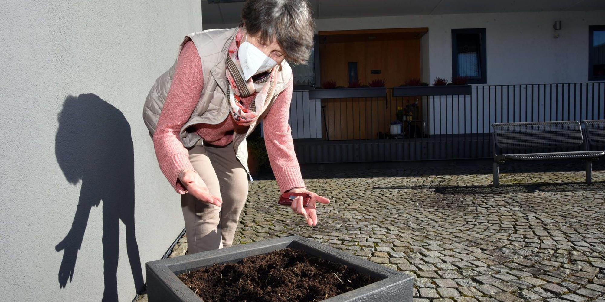 ds_Blumenkuebel_Blumenklau_Irmgard Beier_Wipp_Hausmannsplatz_Seniorenwohnungen1