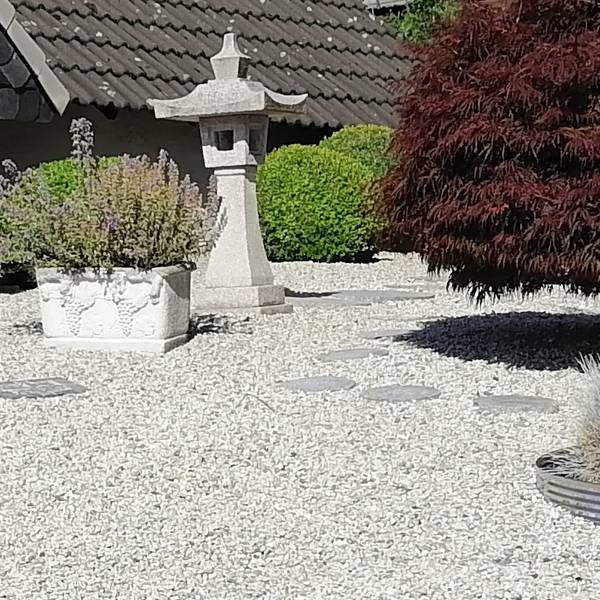 20220728_dbo_Steingarten 2