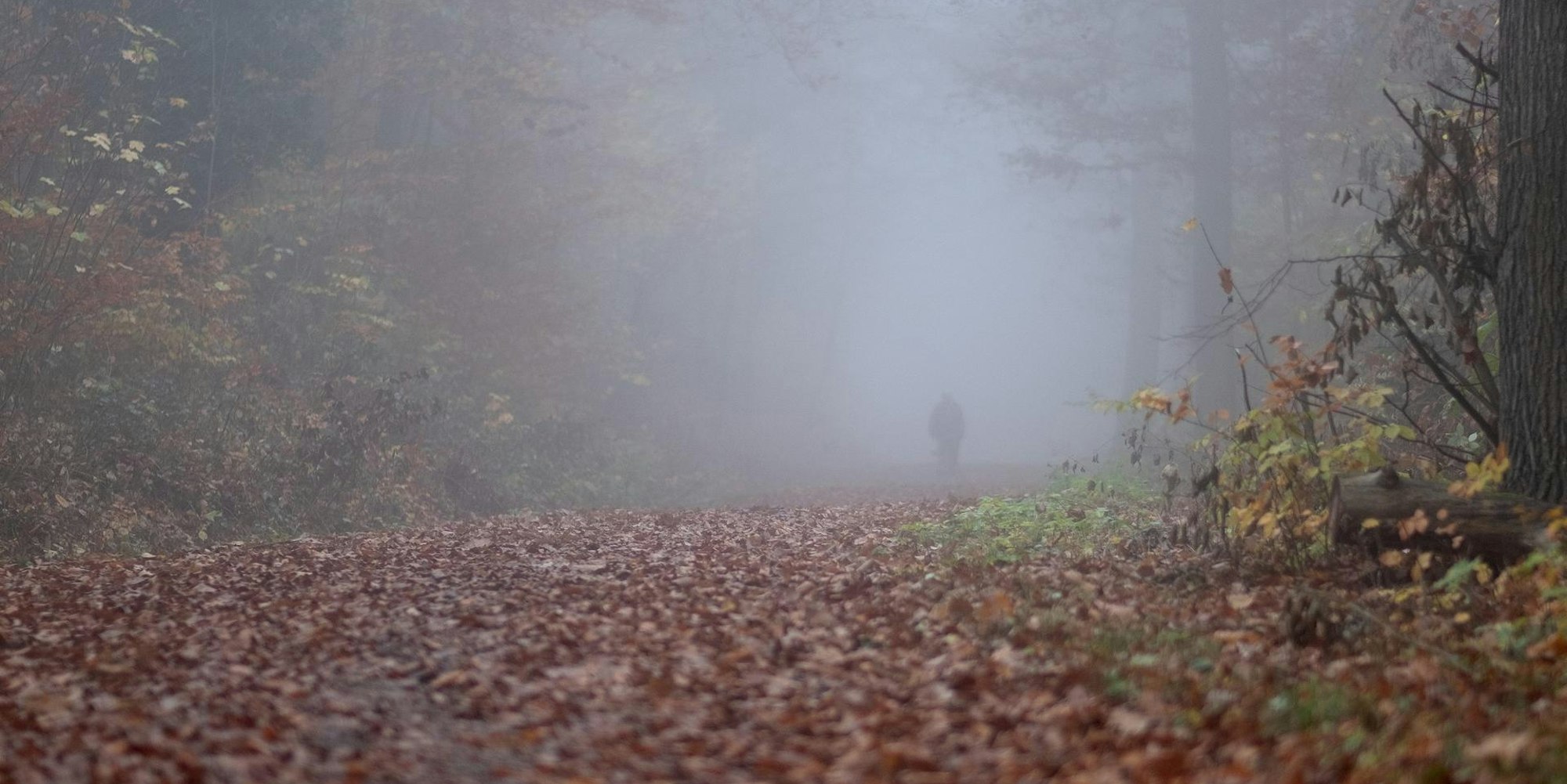 Waldweg