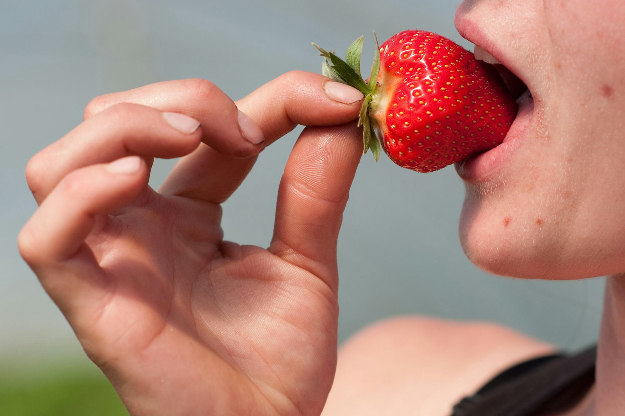 erbeeren mund