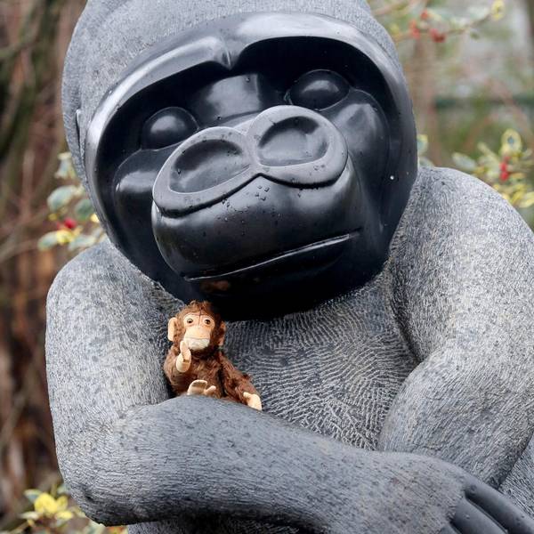 Zoo KRefeld Alffe