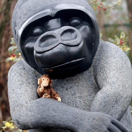 Zoo KRefeld Alffe
