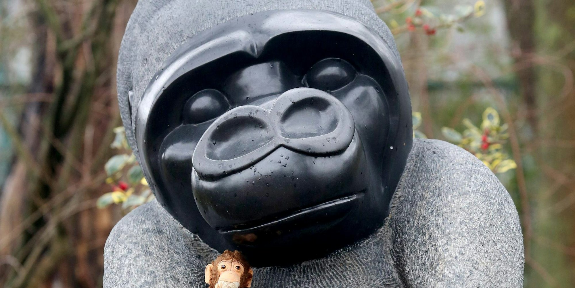 Zoo KRefeld Alffe