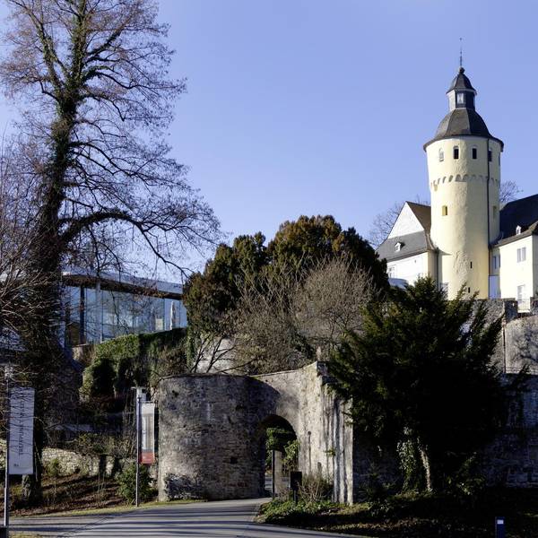 Schloss Homburg