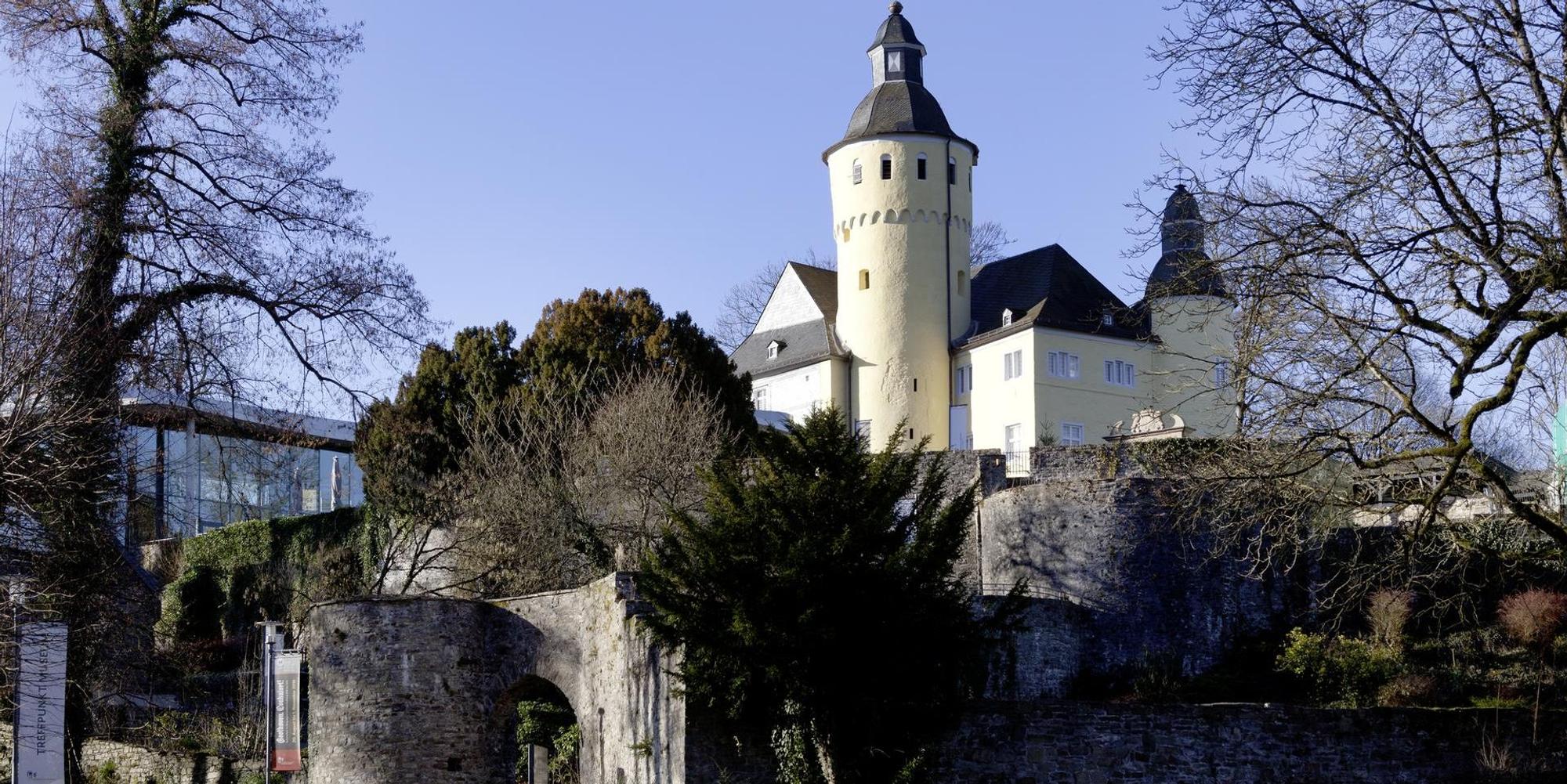 Schloss Homburg