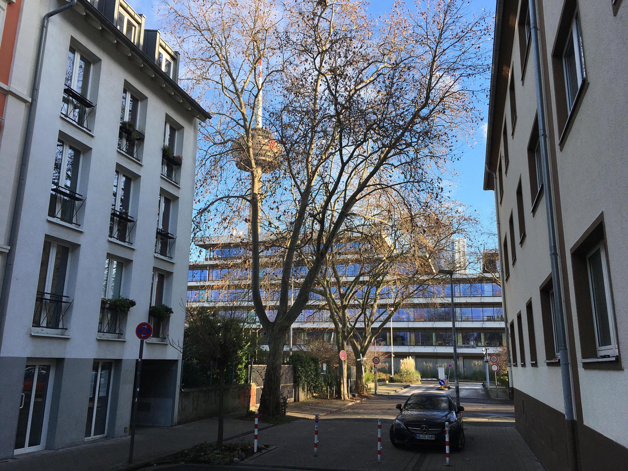 roes-siemens-gelaende-015