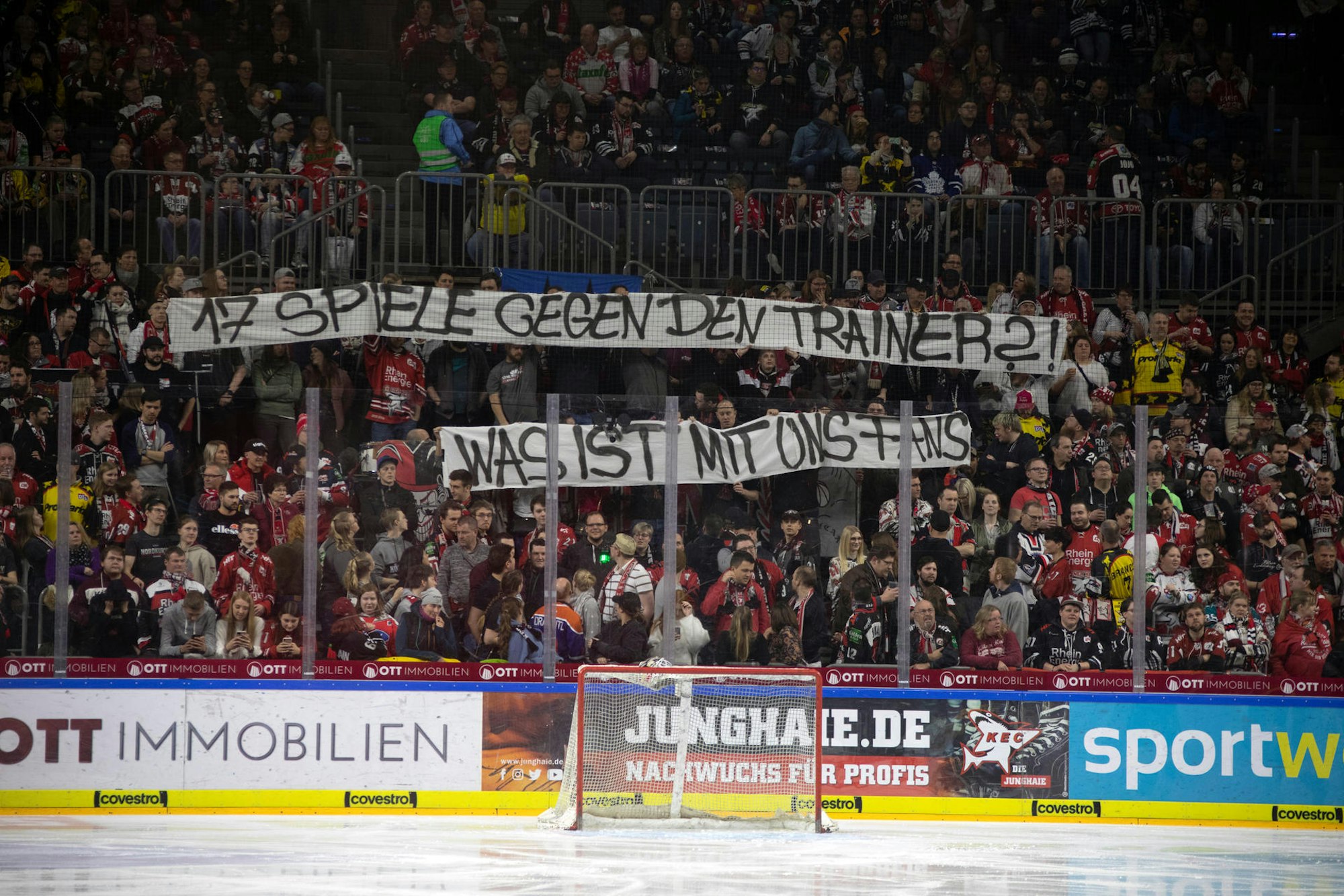Transparent Kölner Haie