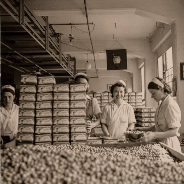 19 Verpackung_nach 1935 vermutlich