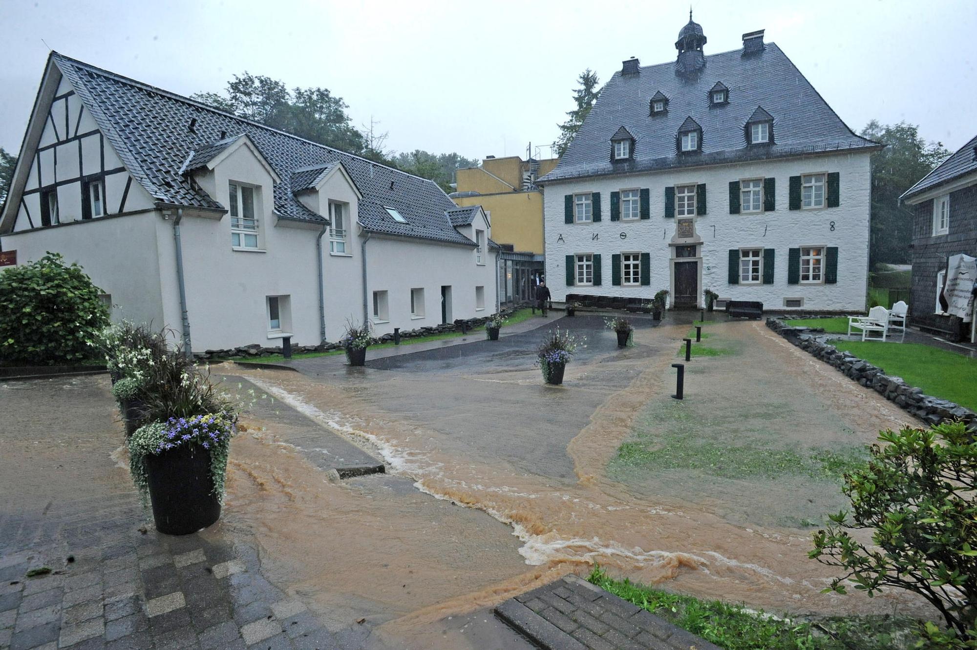 WU_regen_(3)