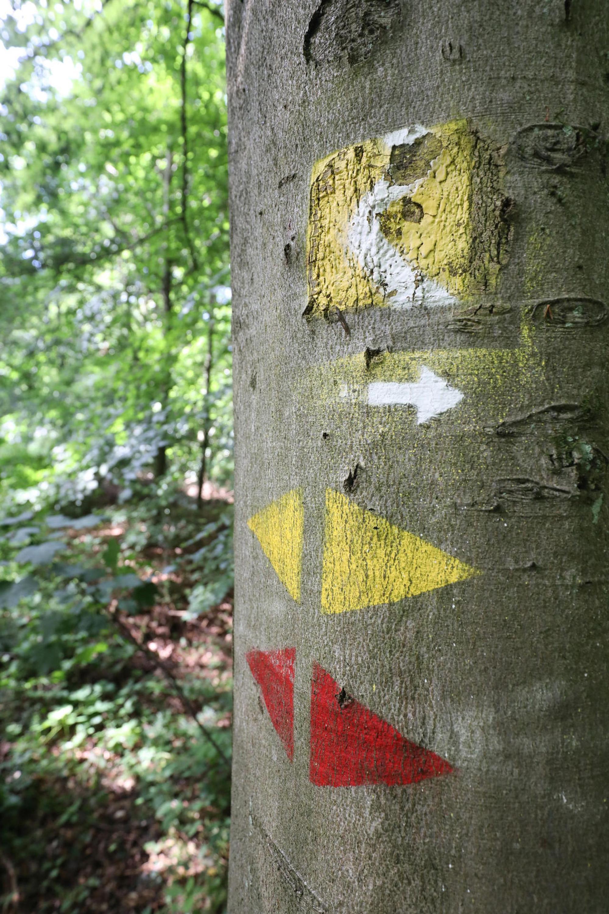 Neuer Inhalt (1)