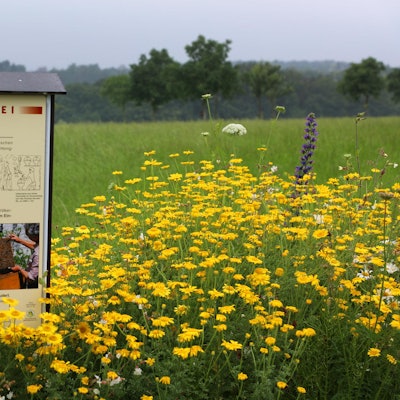 04_Sommertour_Weiden-Altenberg_8688