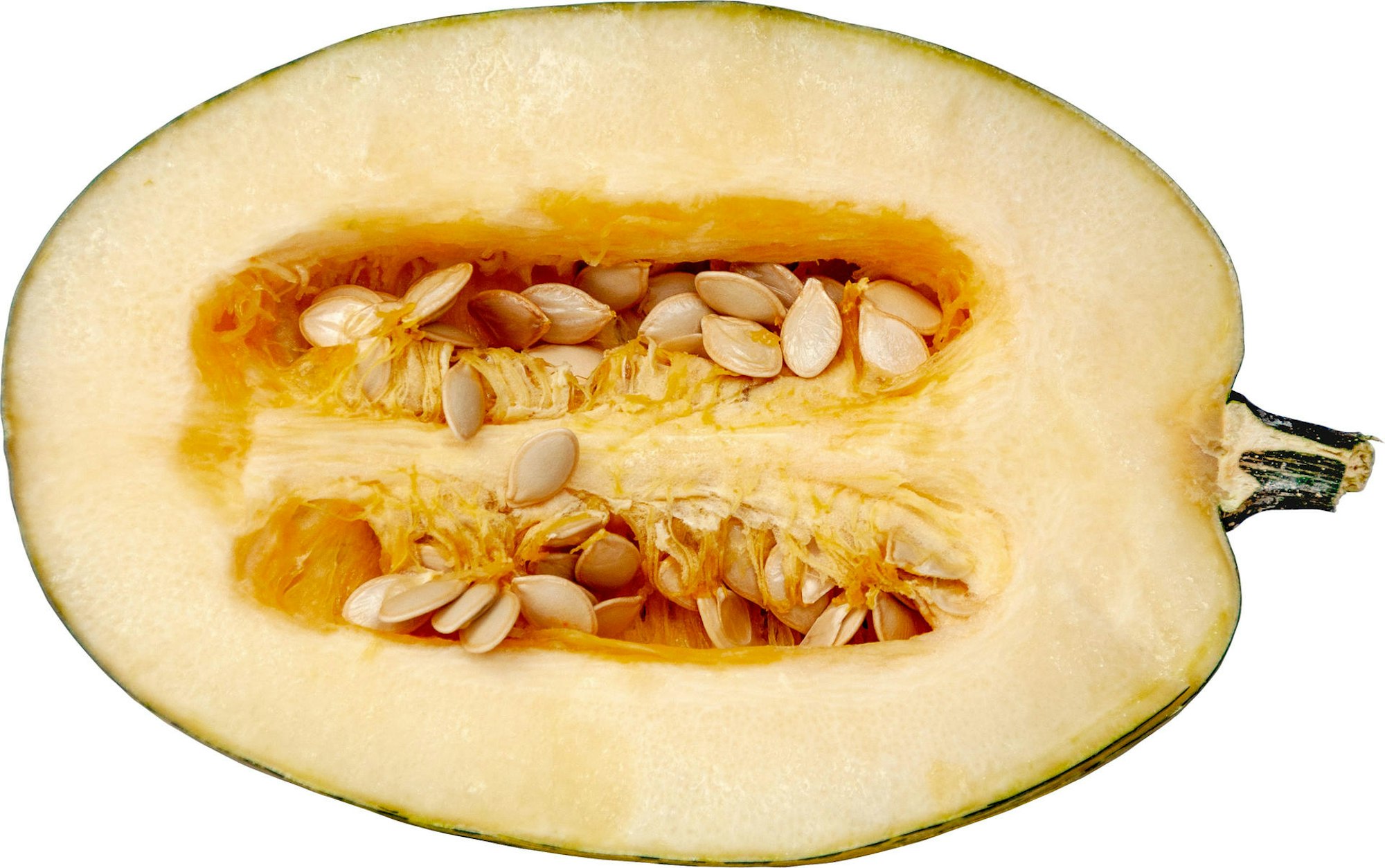 Spaghettikürbis-aufgeschnitten-_DSC7242