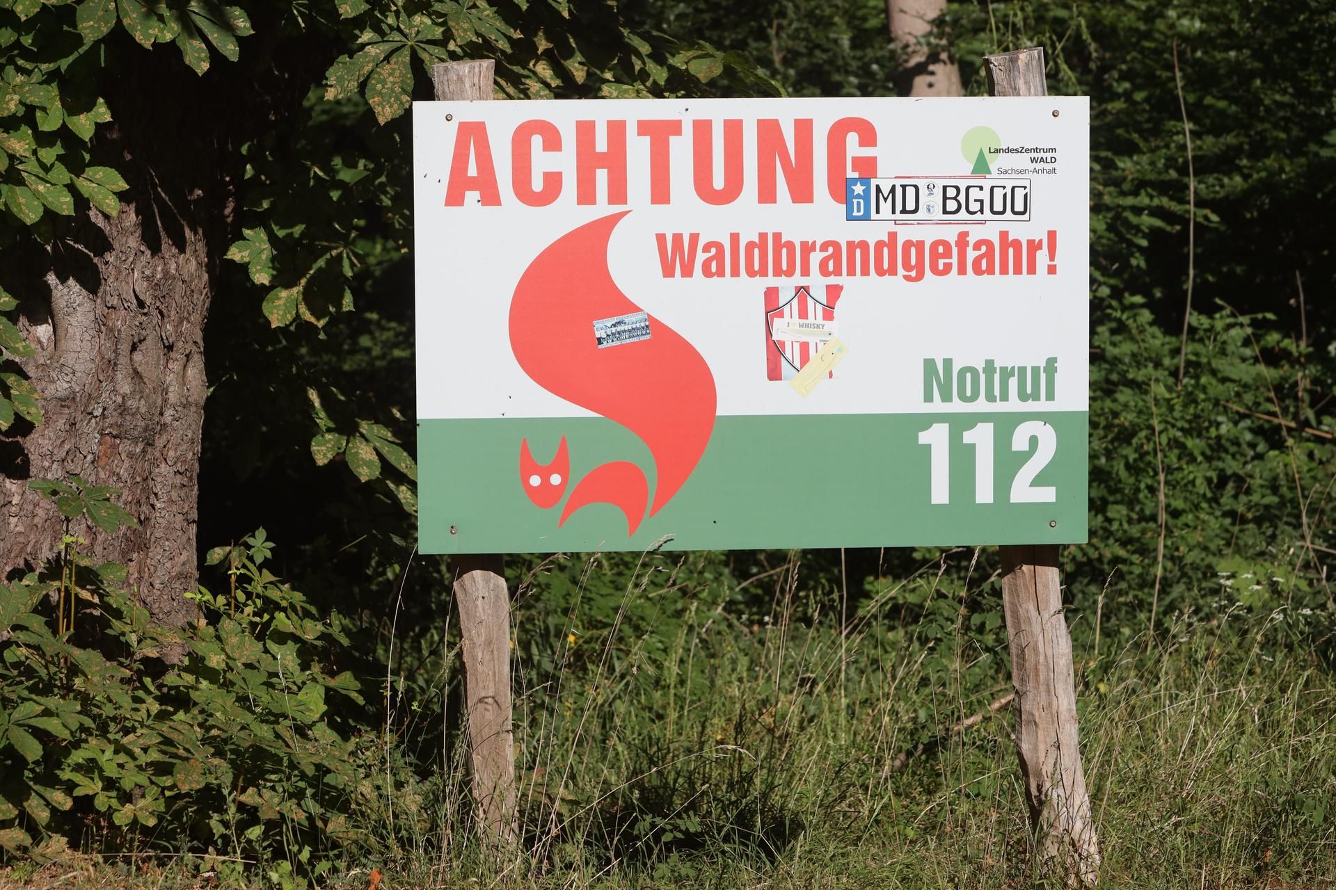 Waldbrand1