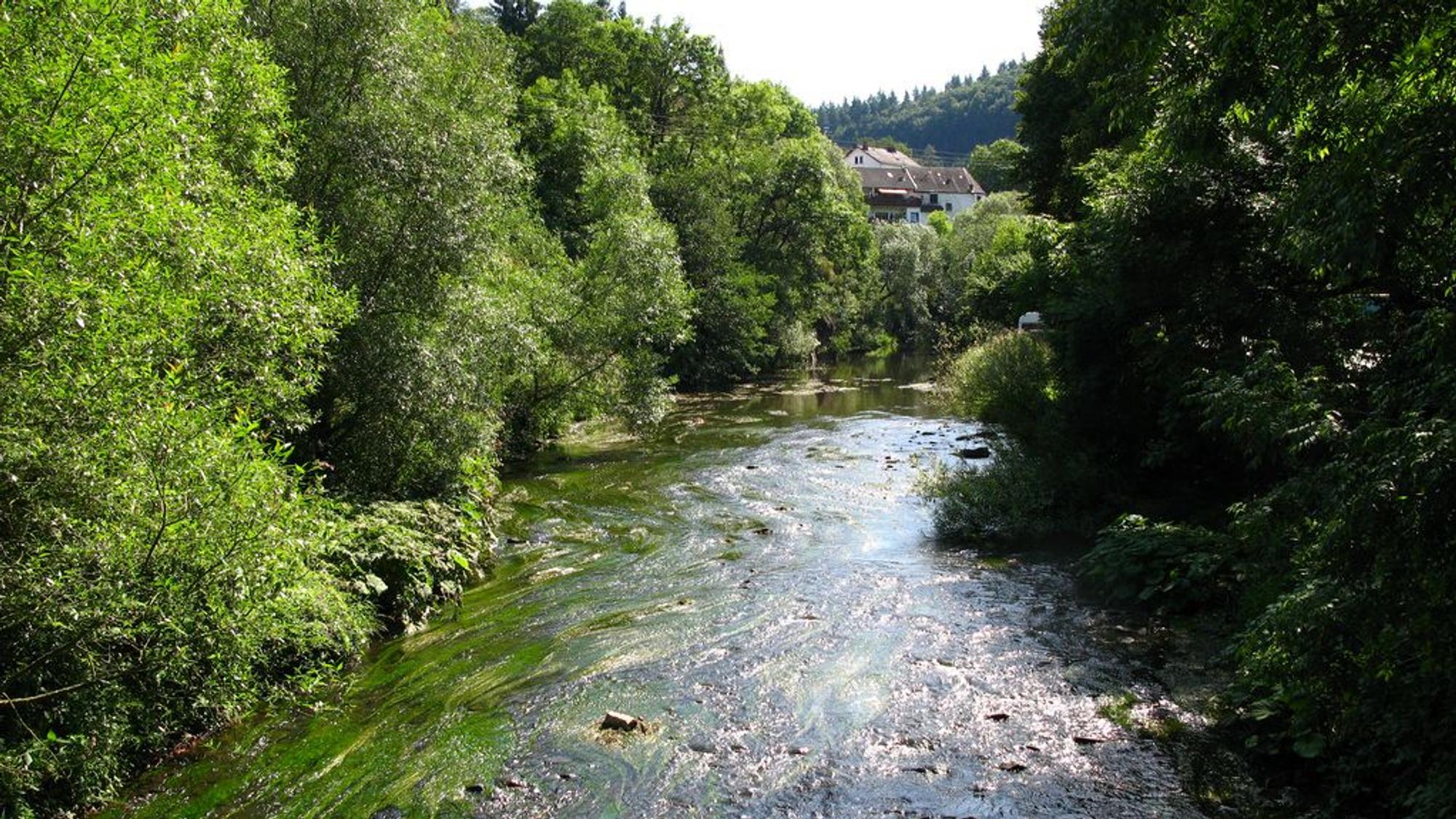 Obwohl Teile des Ahr-Radwegs nach der Flut noch nicht wieder befahrbar sind, bietet die Strecke Idylle pur. (Archivbild)