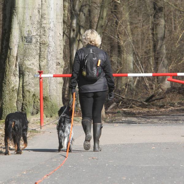 Neuer Inhalt