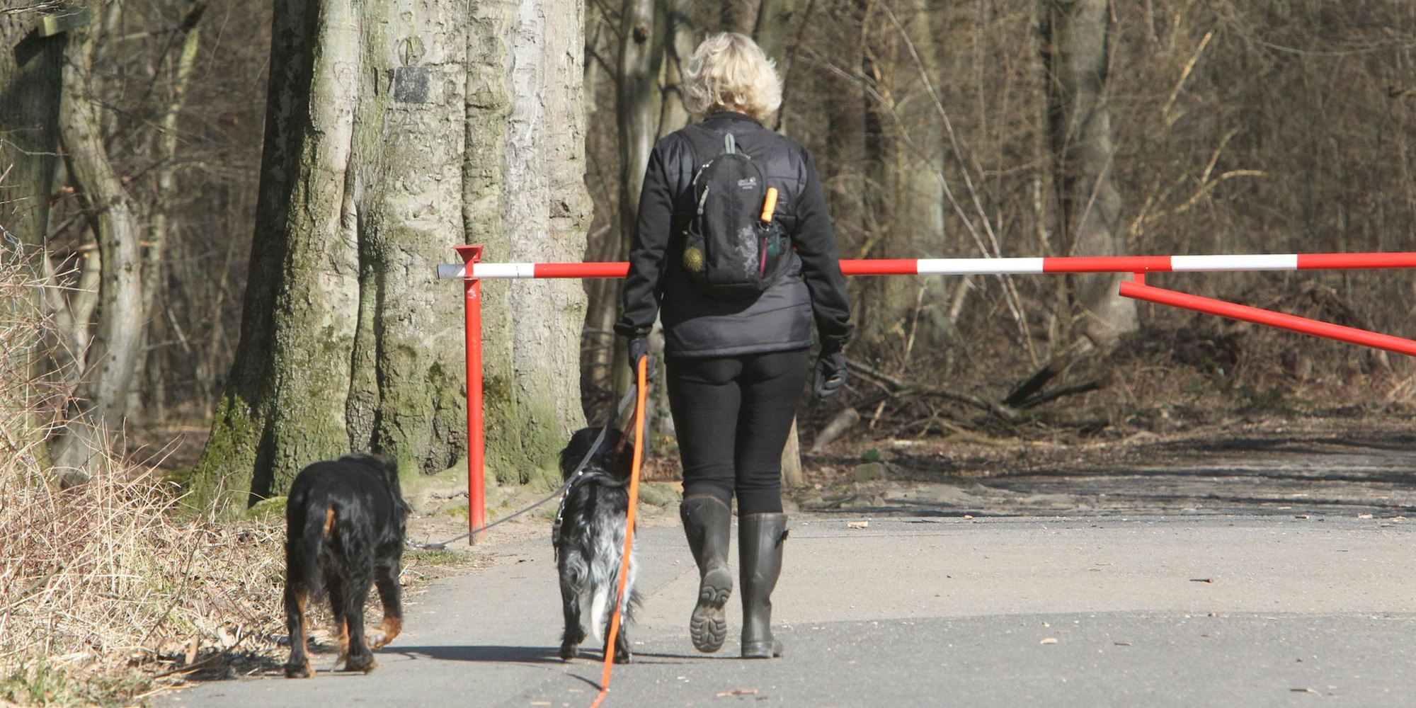 Neuer Inhalt