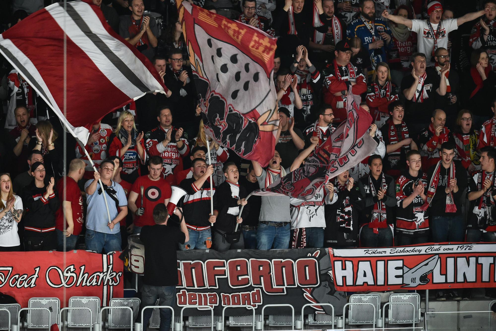 Kölner Haie gegen Mannheim