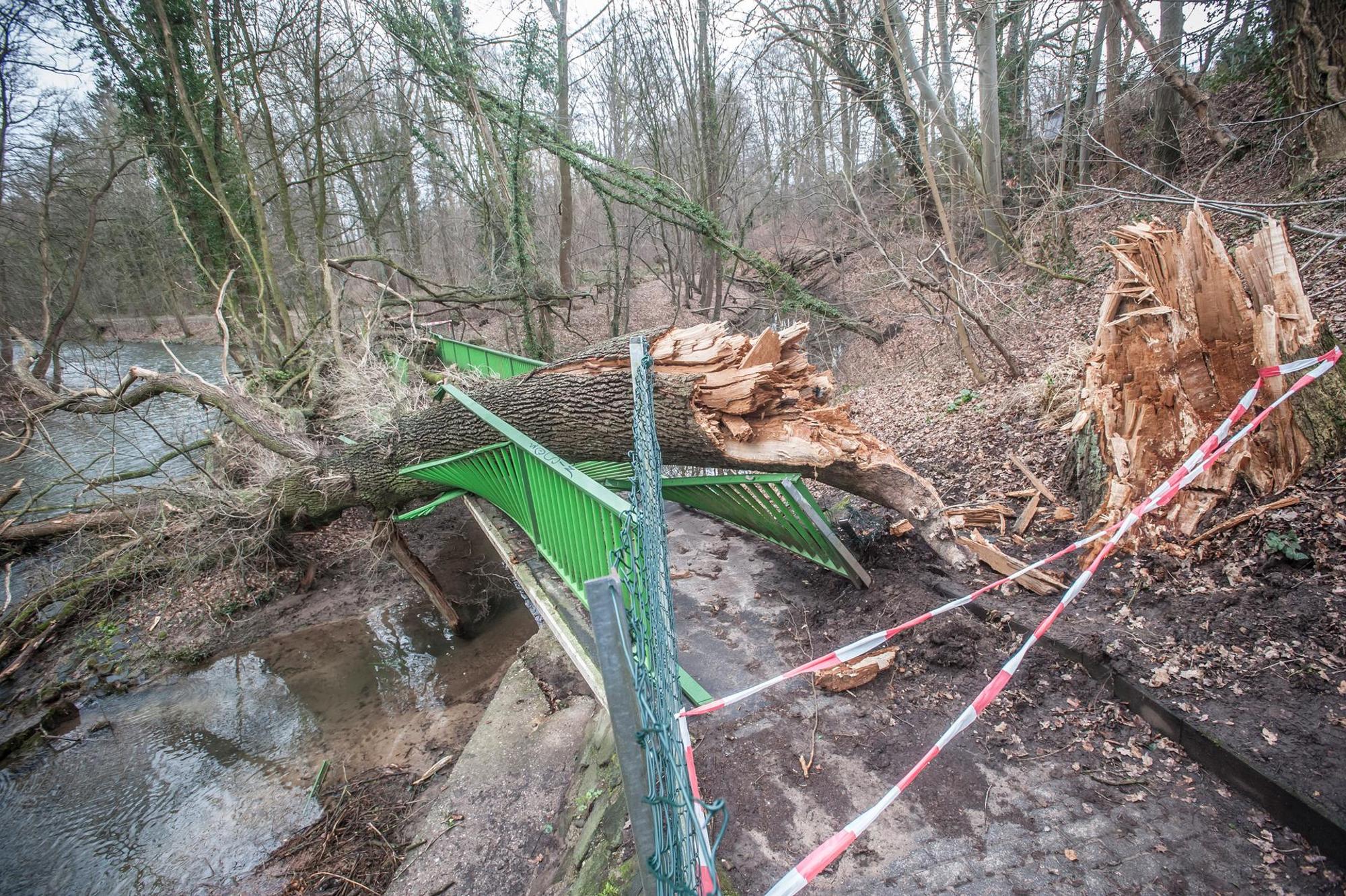 bruecken_kaputte_rar_rle_02242022_nef_alf_0770