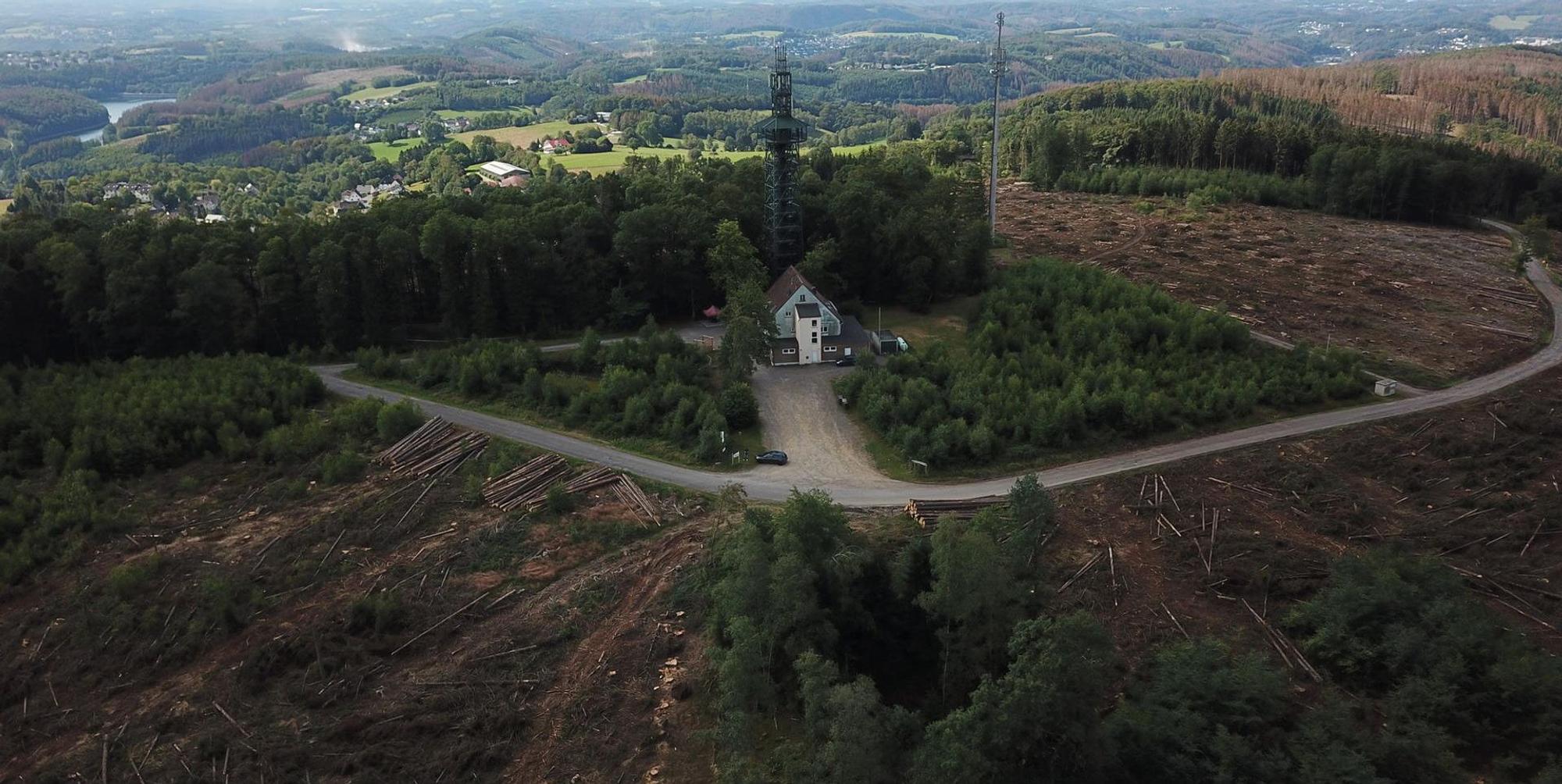 Unnenberg-Borkenkaefer_ag003