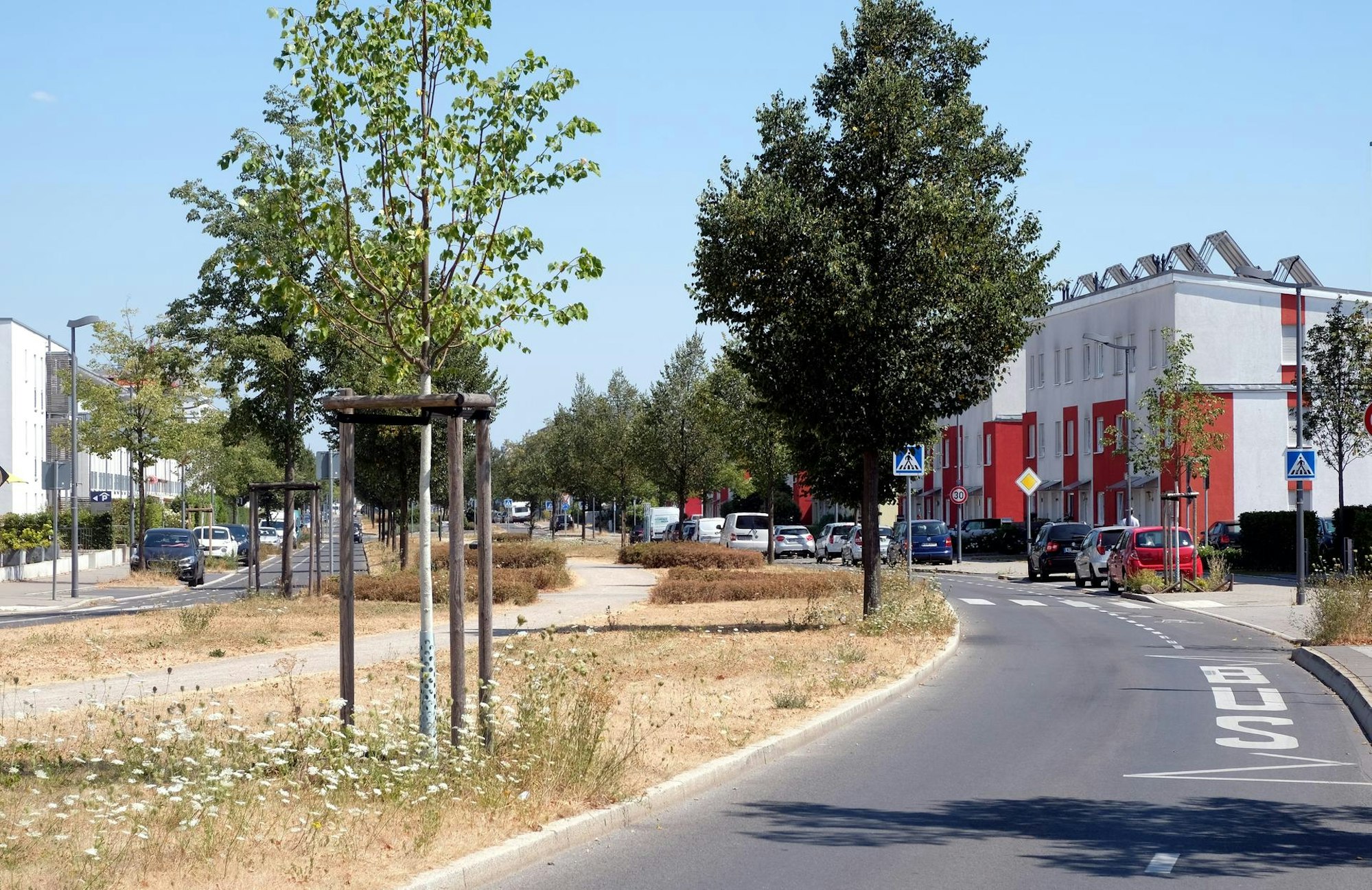 widdersdorf3