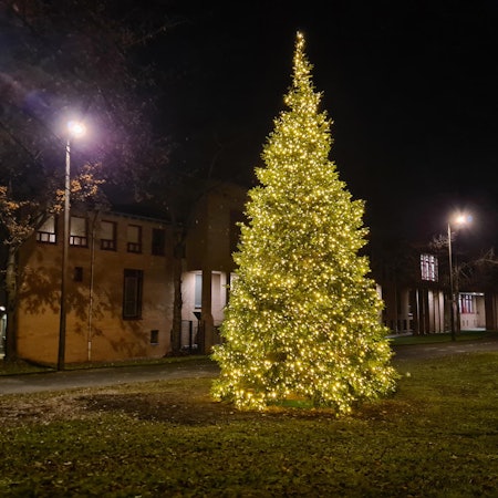 Weihnachtsbazm10.000Euro2