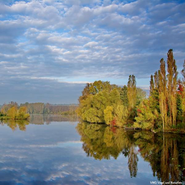 Bislicher_Insel_NRW_2