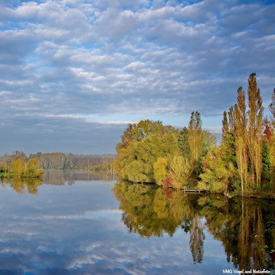 Bislicher_Insel_NRW_2