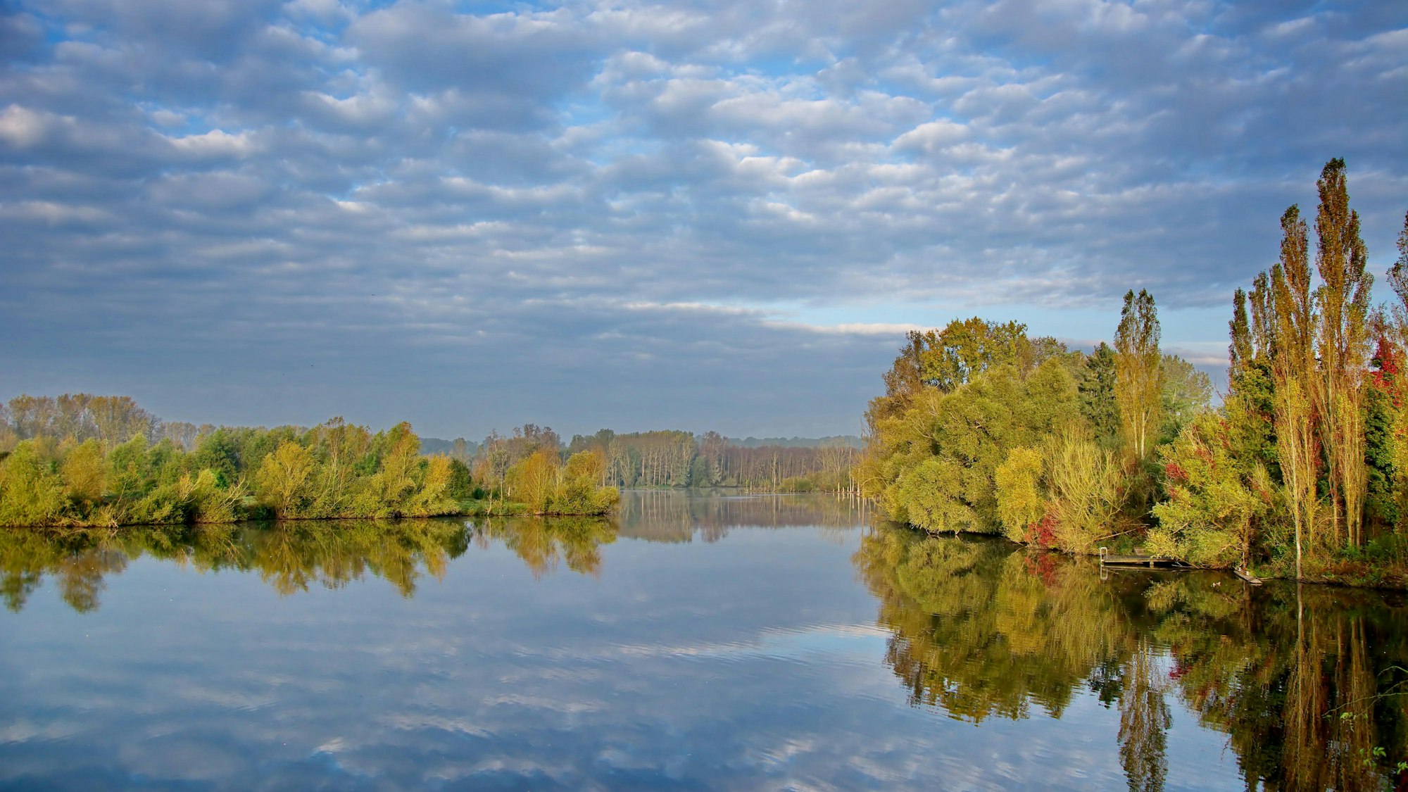 Gewässer mit Bäumen am Ufer