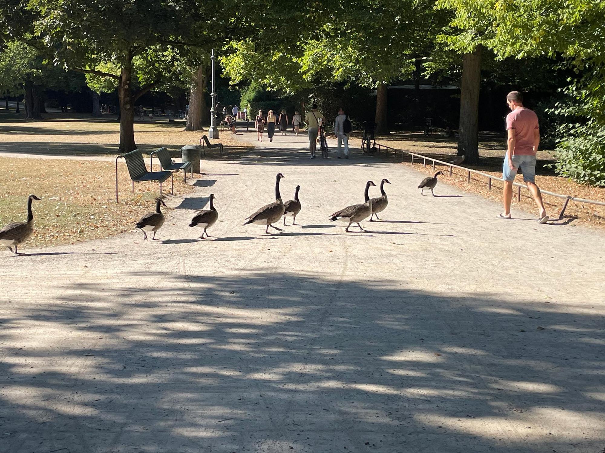 Neuer Inhalt (3)