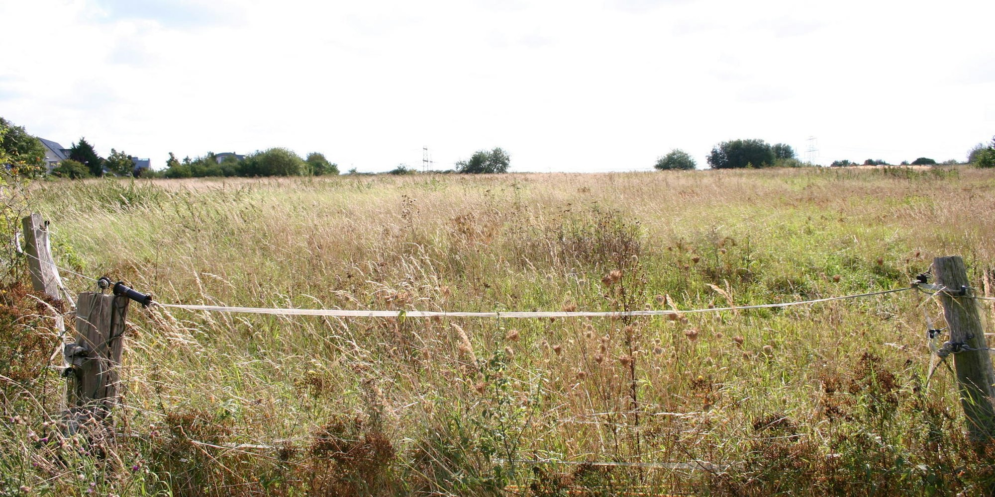 Bauprojekt_auf_Deponie_(3)