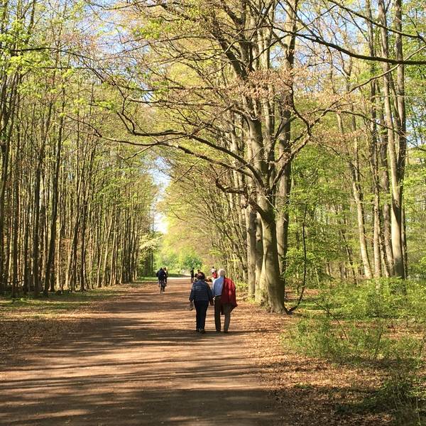 Wald2