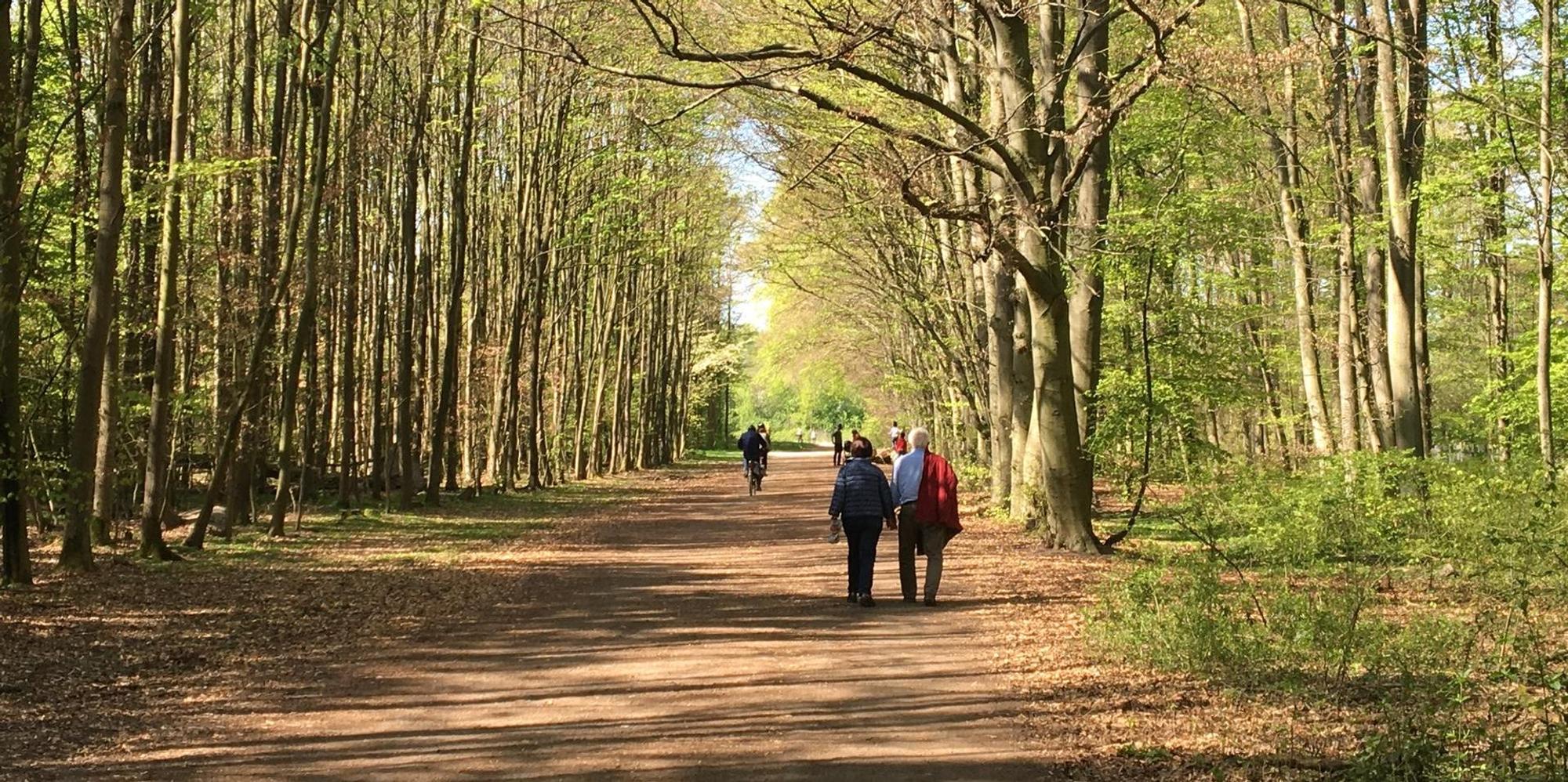 Wald2