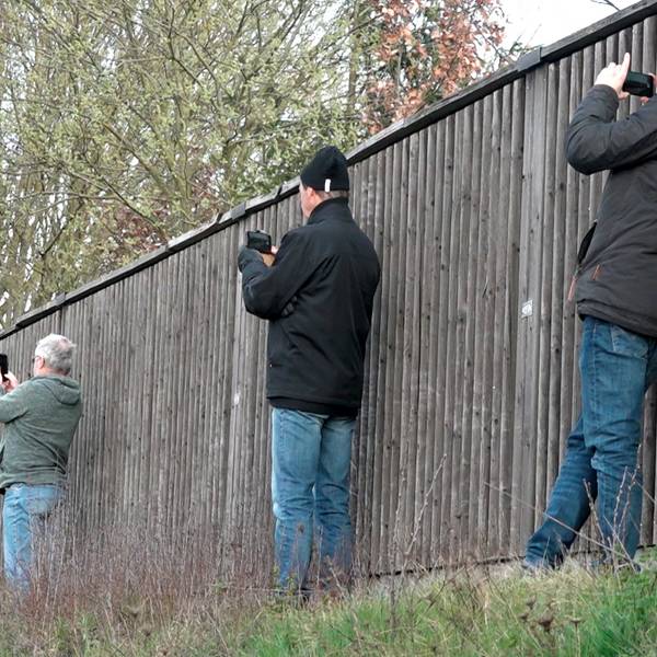 Neuer Inhalt (1)
