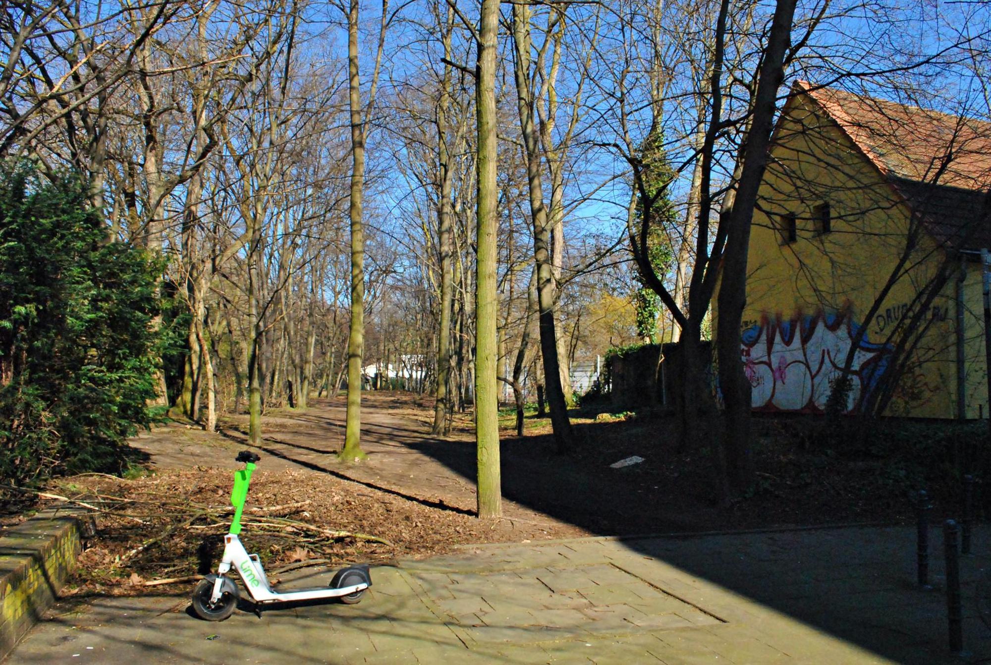 Baum1