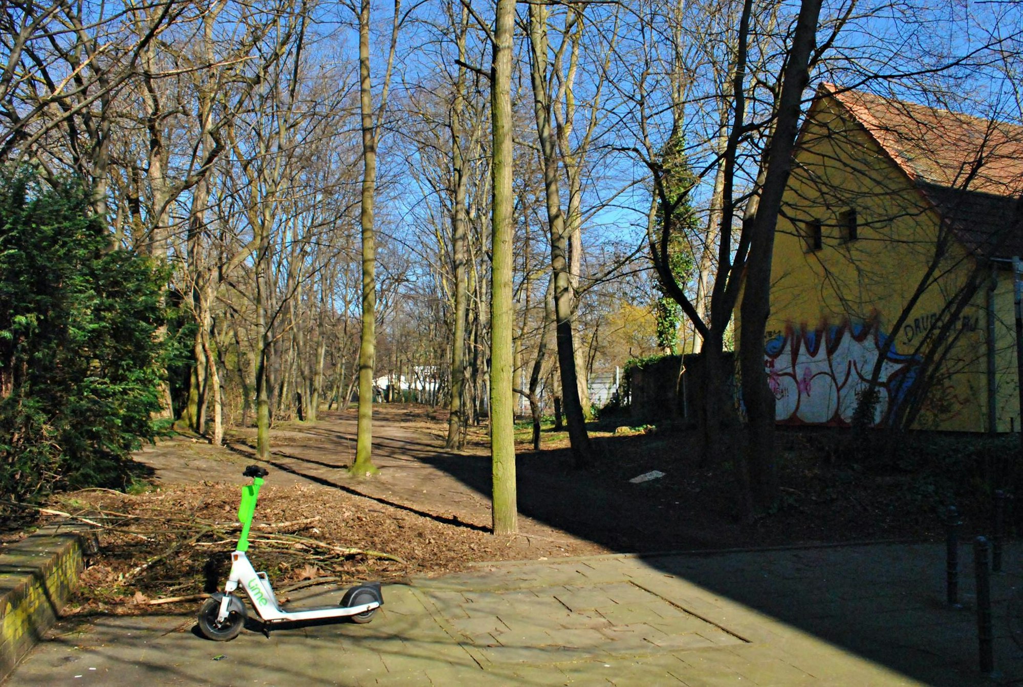 Baum1