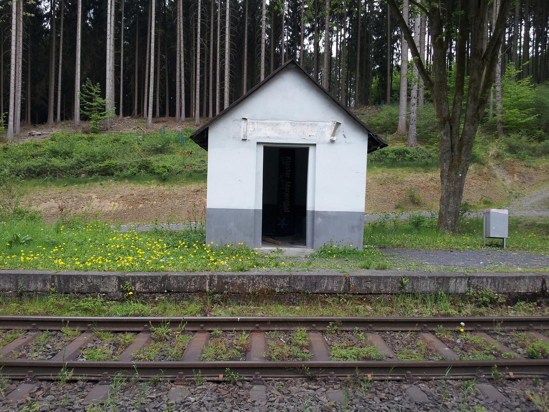 20160511_161138