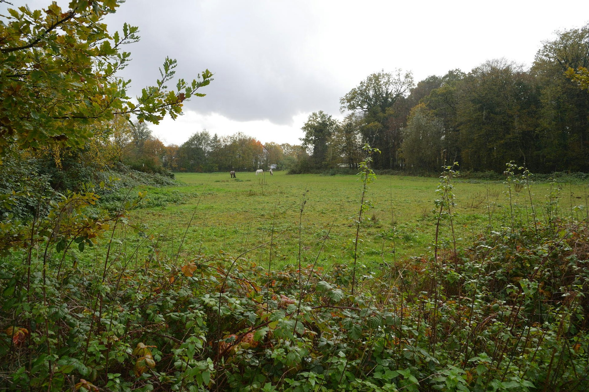 Refrath_Proteste der Anwohner_5.11.2019_Arlinghaus