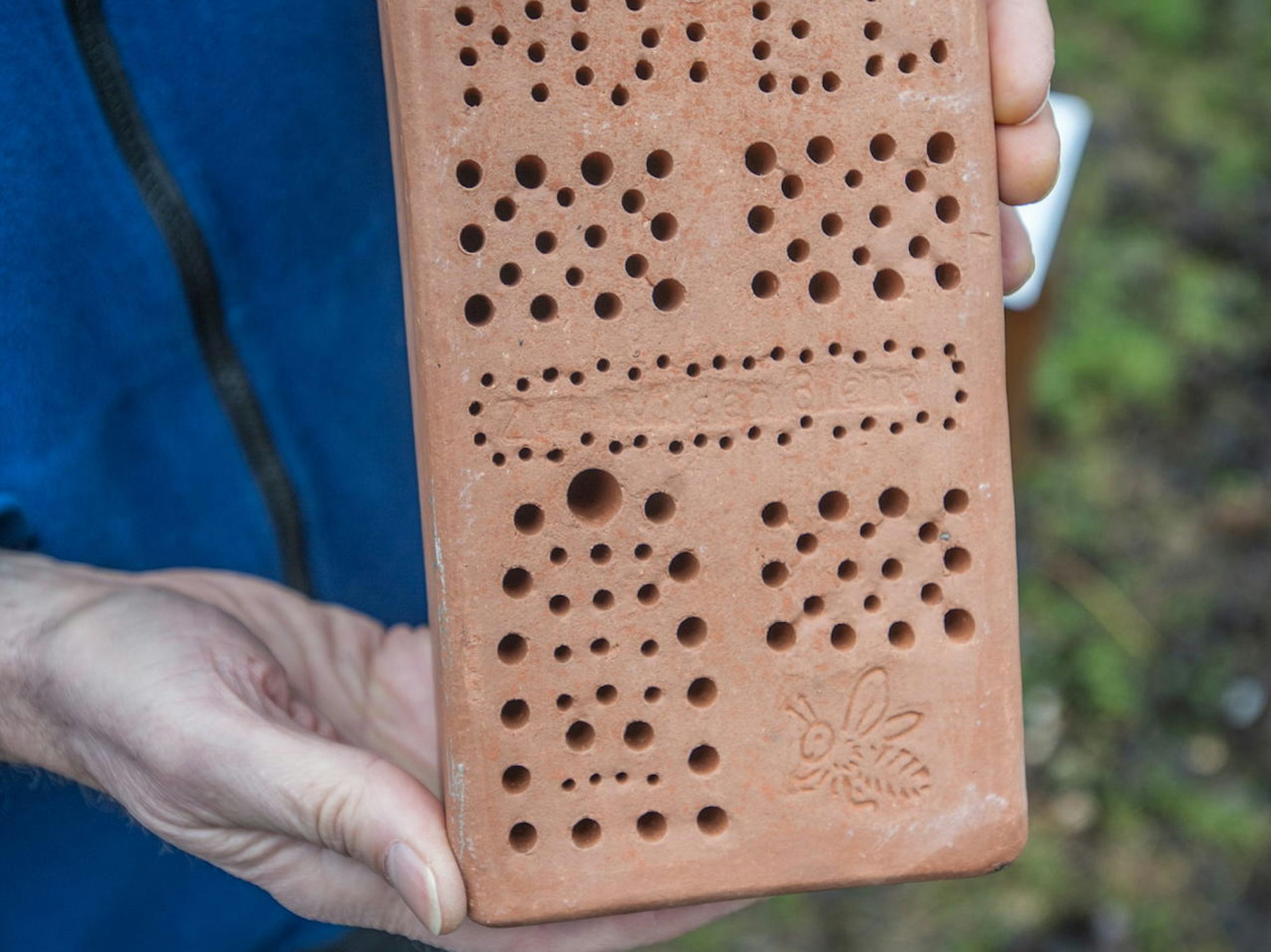 leverkusen-insektenhotel-alf_9174