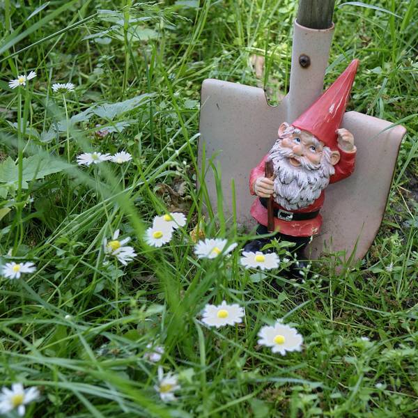 Neuer Inhalt (14)