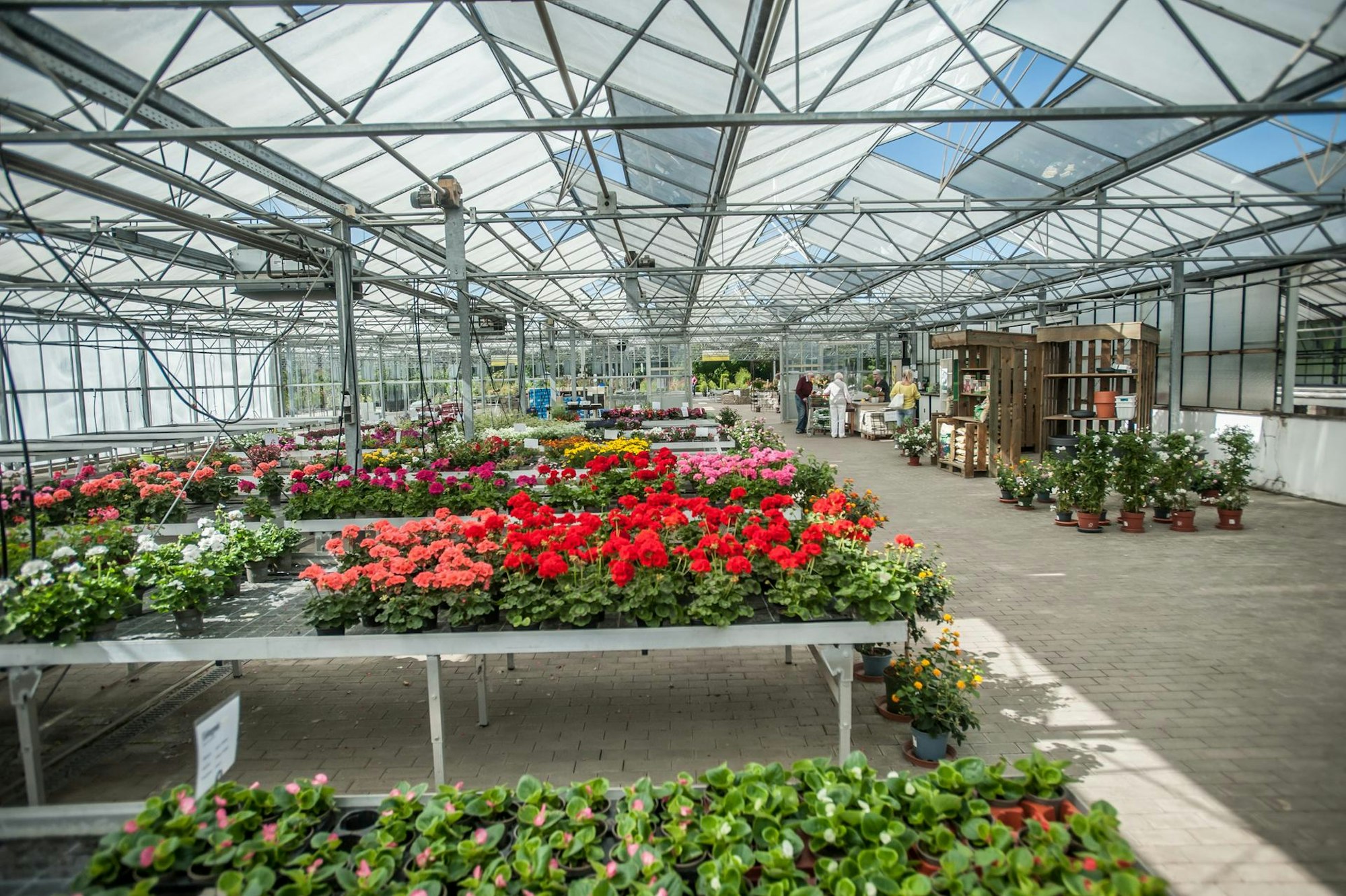 sarembe_rar_rle_06142022ALF_0174