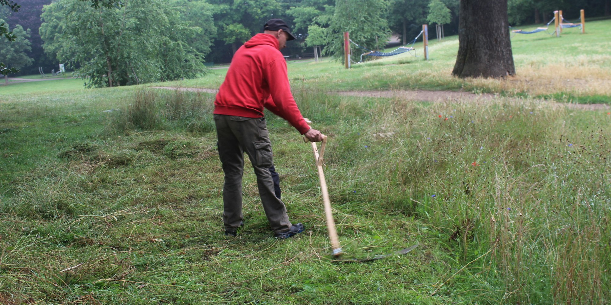 bes-bueze-blumenwiese08