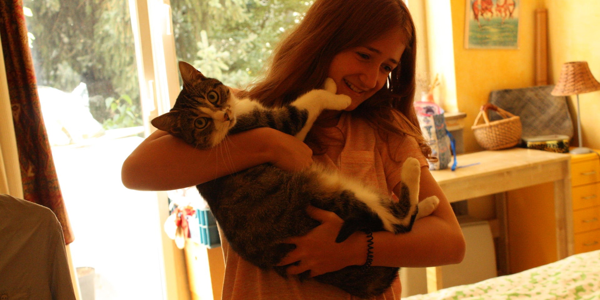 Katze aus Nippes 280817