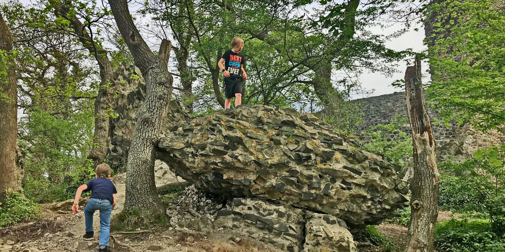 Die Tomburg-Ruine von vorne.
