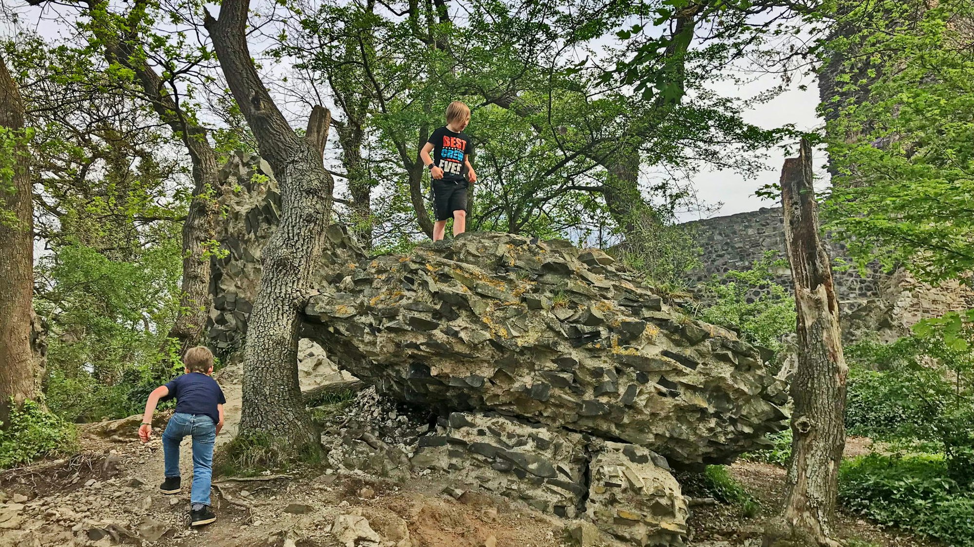 Die Tomburg-Ruine von vorne.