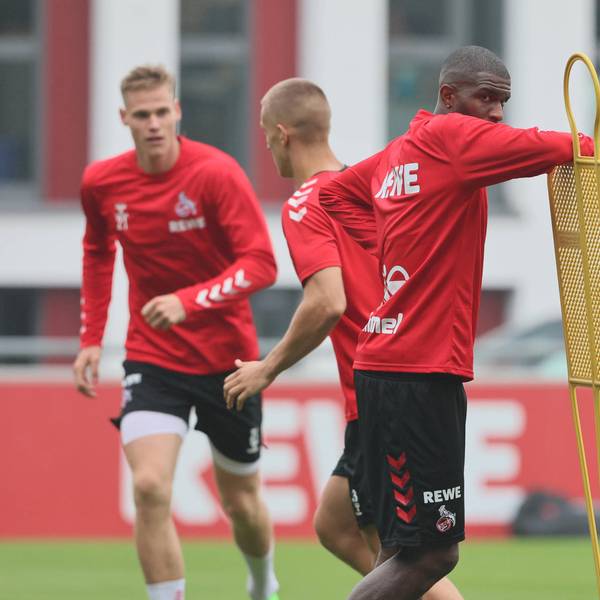 Modeste Training Kritik