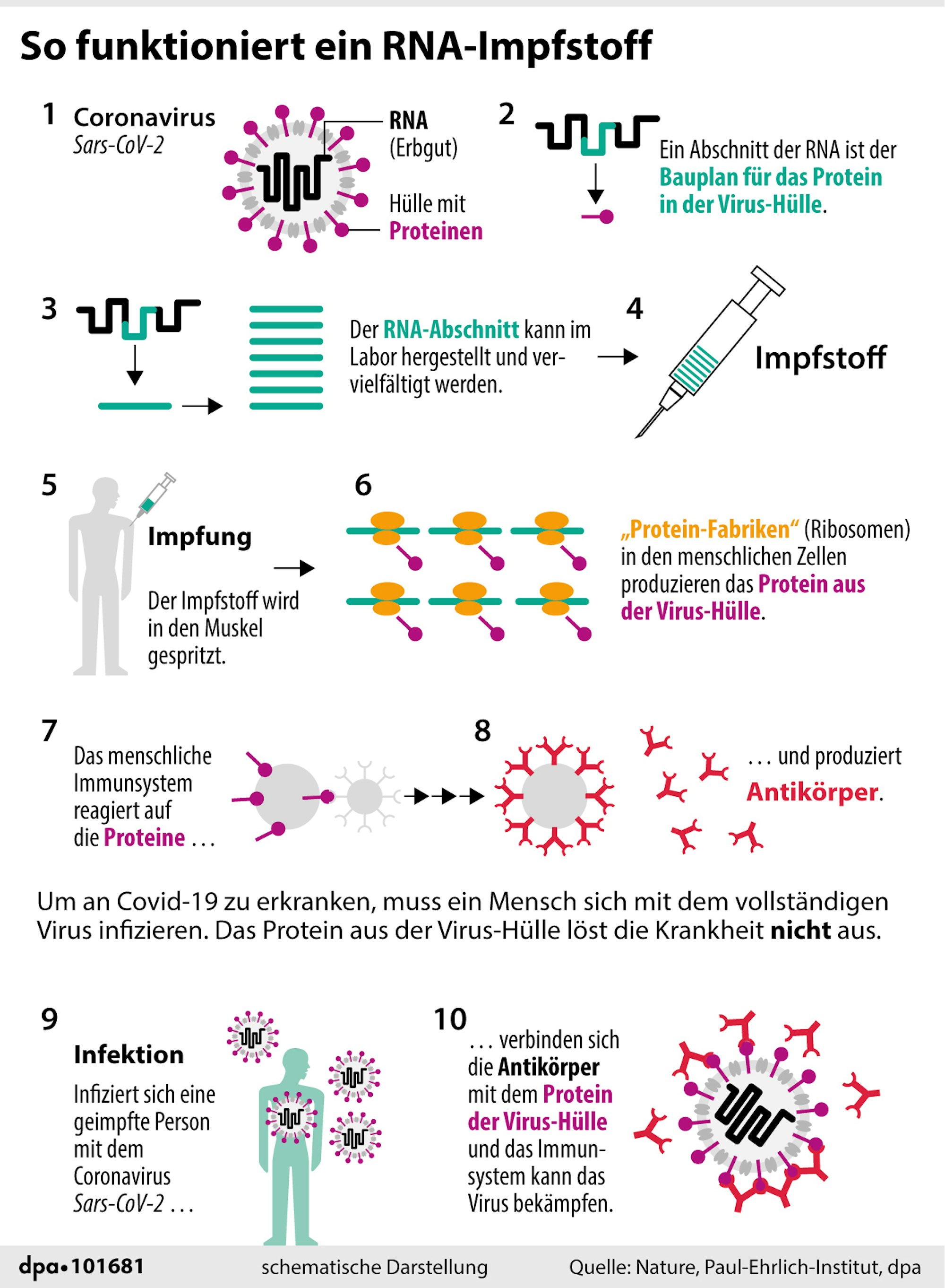Neuer Inhalt